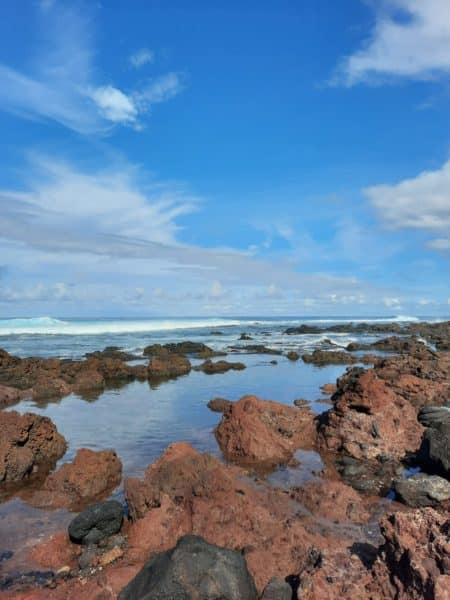 IMG-20231028-WA0015